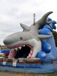 This shark is inflated and blown away every day